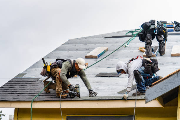 Professional Storm Damage Roof Repair technician working in Holland, MN